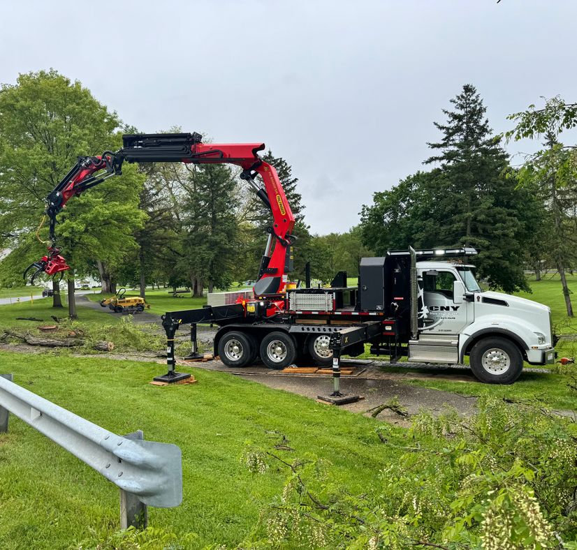 tree crane