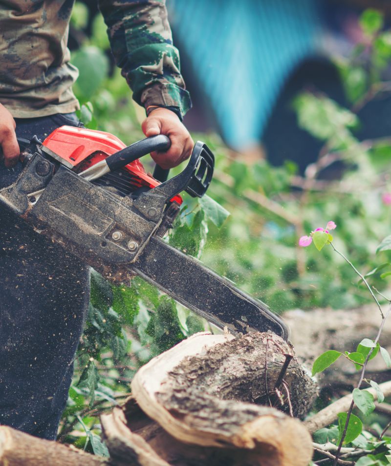 tree trimming