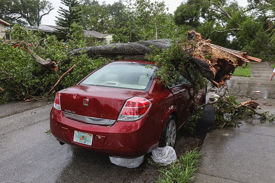 CNY Tree Services LLC